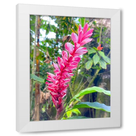 Ginger Stretch White Modern Wood Framed Art Print by Nebula, Melissa