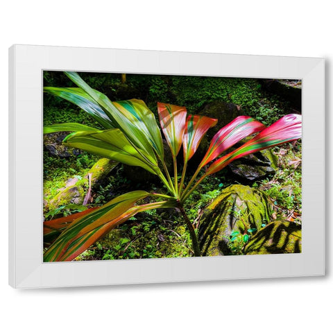 Striped Ti White Modern Wood Framed Art Print by Nebula, Melissa