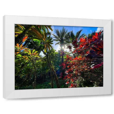Tropical Melange White Modern Wood Framed Art Print by Nebula, Melissa