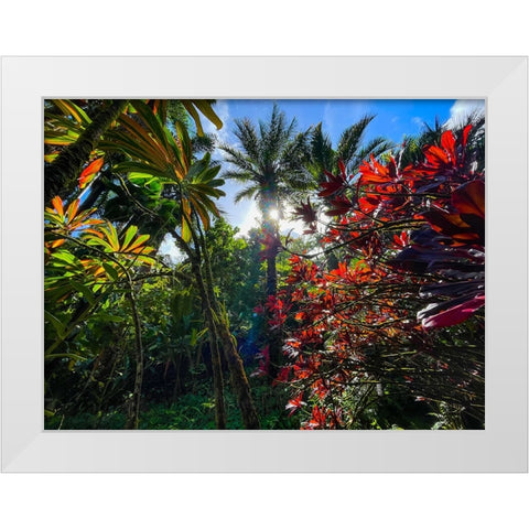 Tropical Melange White Modern Wood Framed Art Print by Nebula, Melissa