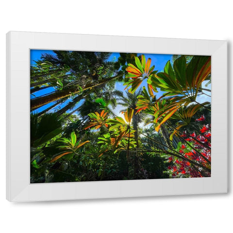 Tropical Understory White Modern Wood Framed Art Print by Nebula, Melissa