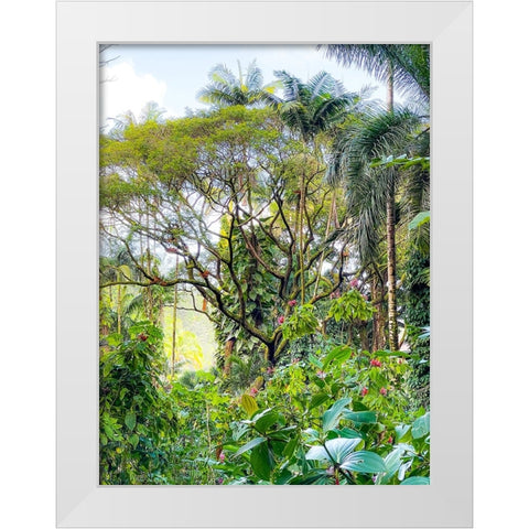 Botanical Junglescape White Modern Wood Framed Art Print by Nebula, Melissa