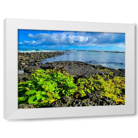 Hilo Morning Rise White Modern Wood Framed Art Print by Nebula, Melissa