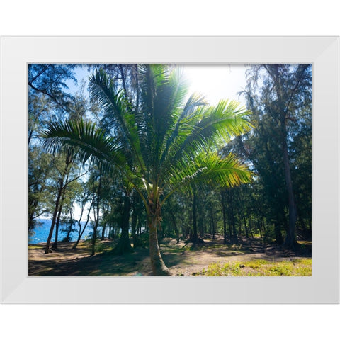 Palm 1 White Modern Wood Framed Art Print by Nebula, Melissa