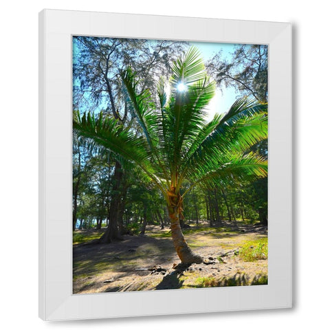 Palm 2 White Modern Wood Framed Art Print by Nebula, Melissa