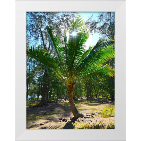 Palm 2 White Modern Wood Framed Art Print by Nebula, Melissa