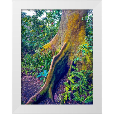 Walking Tree White Modern Wood Framed Art Print by Nebula, Melissa
