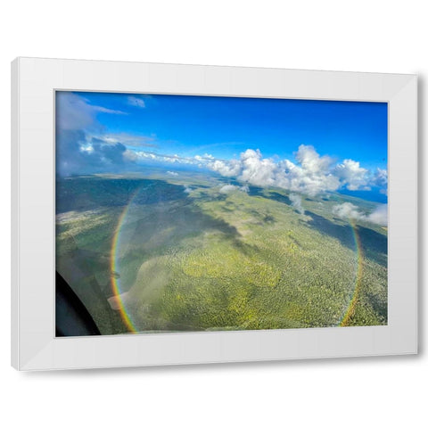 Full Circle Birds Eye White Modern Wood Framed Art Print by Nebula, Melissa