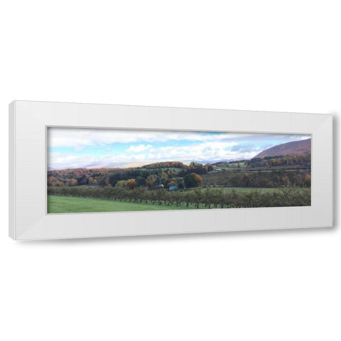 Seasons Change 2 White Modern Wood Framed Art Print by Prime, Marcus