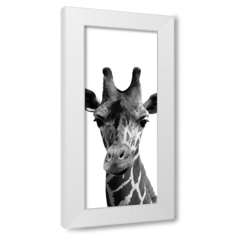 Thoughtful Giraffe White Modern Wood Framed Art Print by Prime, Marcus