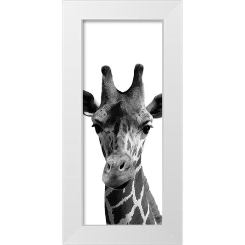 Thoughtful Giraffe White Modern Wood Framed Art Print by Prime, Marcus