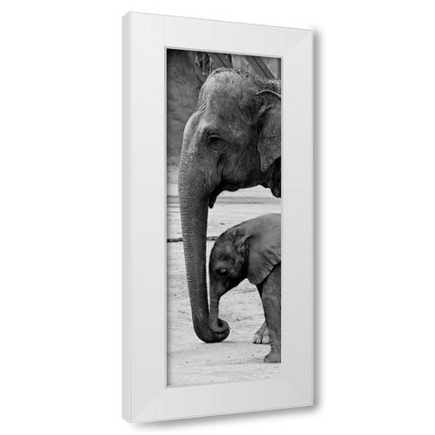 Mothers Love White Modern Wood Framed Art Print by Prime, Marcus