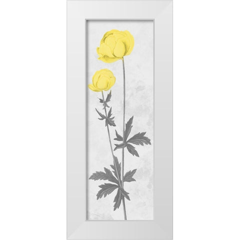 Shinning Bloom White Modern Wood Framed Art Print by Prime, Marcus