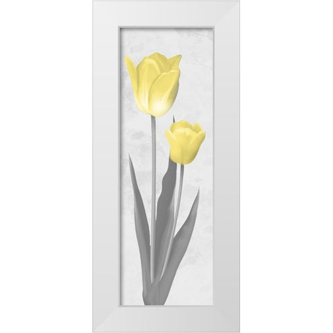 Shinning Bloom 2 White Modern Wood Framed Art Print by Prime, Marcus