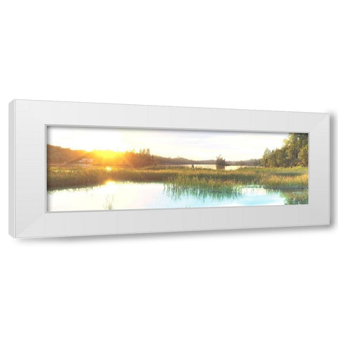 Sunny Marsh 2 White Modern Wood Framed Art Print by Prime, Marcus