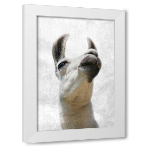 Pondering Lama White Modern Wood Framed Art Print by Prime, Marcus