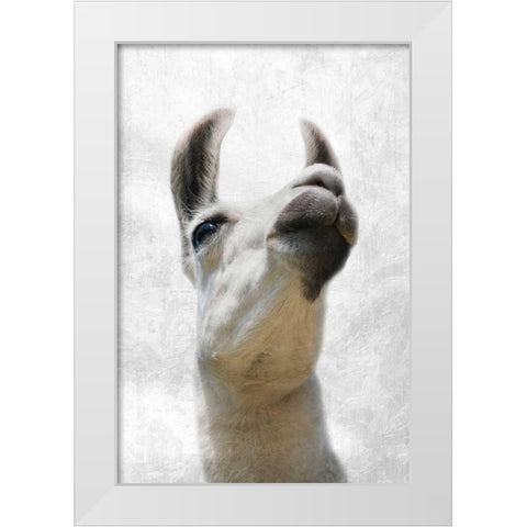 Pondering Lama White Modern Wood Framed Art Print by Prime, Marcus