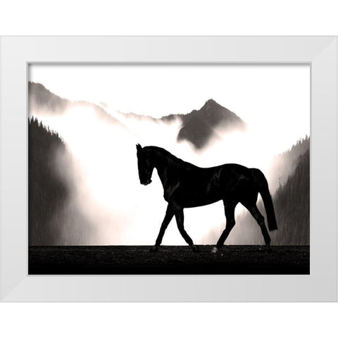 Wandering Horse White Modern Wood Framed Art Print by Prime, Marcus