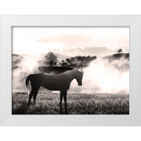 Wandering Horse 2 White Modern Wood Framed Art Print by Prime, Marcus