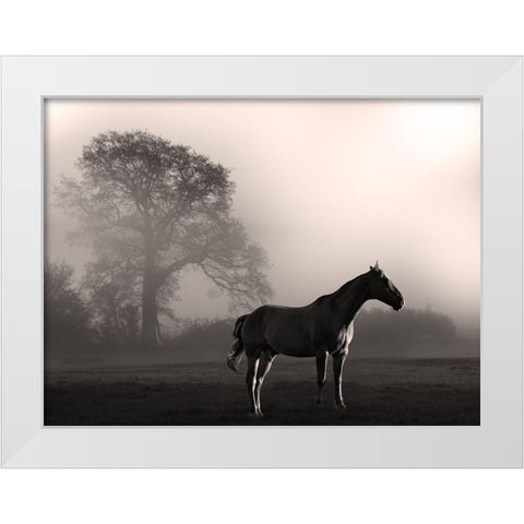 Wandering Horse 3 White Modern Wood Framed Art Print by Prime, Marcus