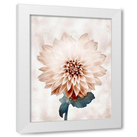 Desired Growth White Modern Wood Framed Art Print by Prime, Marcus