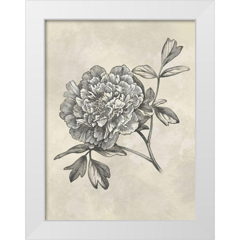 Muted Floral Sketches 1 White Modern Wood Framed Art Print by Prime, Marcus