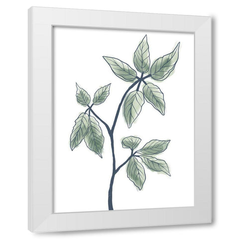 Illustrated Botanicals White Modern Wood Framed Art Print by Prime, Marcus