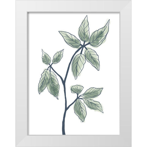 Illustrated Botanicals White Modern Wood Framed Art Print by Prime, Marcus