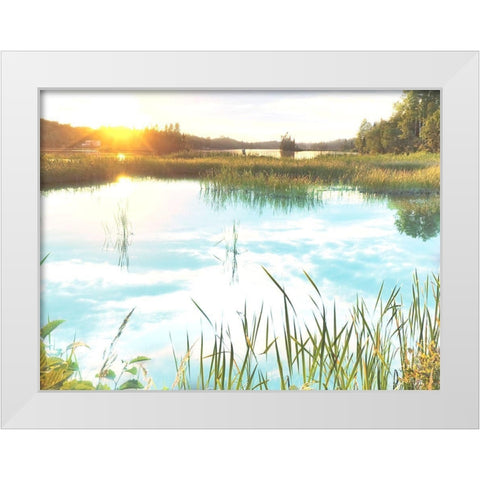 Sunny Marsh White Modern Wood Framed Art Print by Prime, Marcus