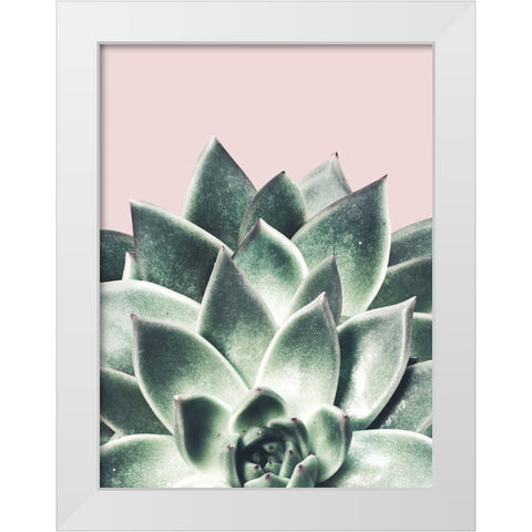 Succulent Queen White Modern Wood Framed Art Print by Prime, Marcus