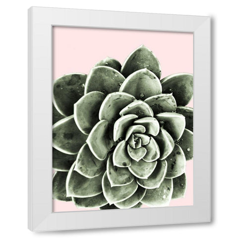 Succulent Beauty White Modern Wood Framed Art Print by Prime, Marcus