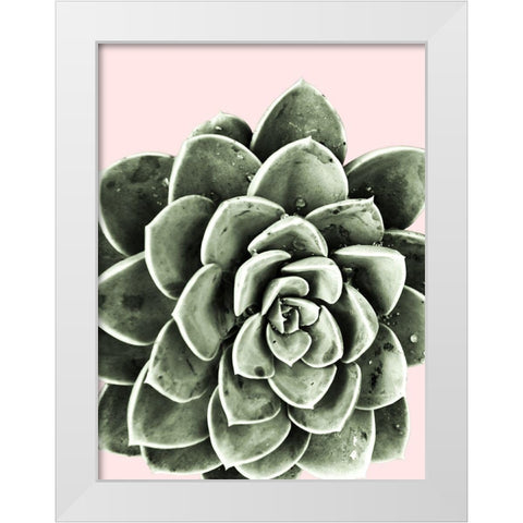 Succulent Beauty White Modern Wood Framed Art Print by Prime, Marcus