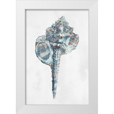 Urban Sea Shell 1 White Modern Wood Framed Art Print by Prime, Marcus