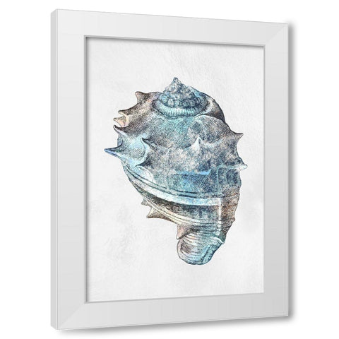 Urban Sea Shell 2 White Modern Wood Framed Art Print by Prime, Marcus