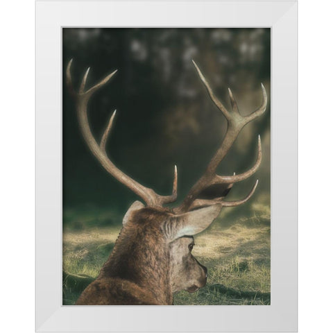 Wandering Buck White Modern Wood Framed Art Print by Prime, Marcus