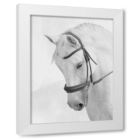 Praying Steed White Modern Wood Framed Art Print by Prime, Marcus