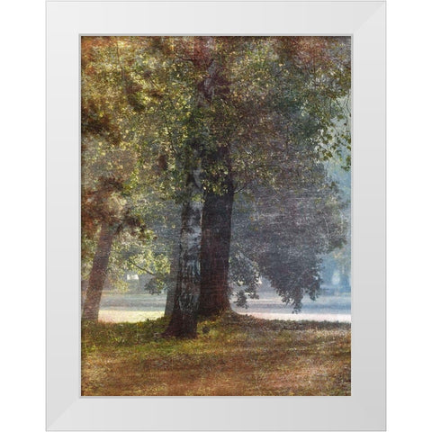 Fall Stroll 2 White Modern Wood Framed Art Print by Prime, Marcus
