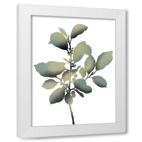 Morphism Of Dreams 2 White Modern Wood Framed Art Print by Prime, Marcus