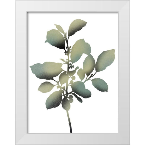 Morphism Of Dreams 2 White Modern Wood Framed Art Print by Prime, Marcus