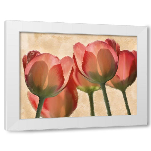 Battles Of Romance White Modern Wood Framed Art Print by Prime, Marcus