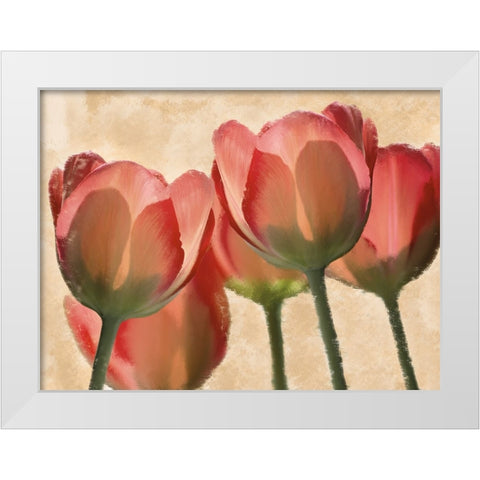 Battles Of Romance White Modern Wood Framed Art Print by Prime, Marcus