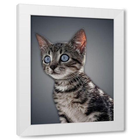 Boundless Cuteness 1 White Modern Wood Framed Art Print by Prime, Marcus