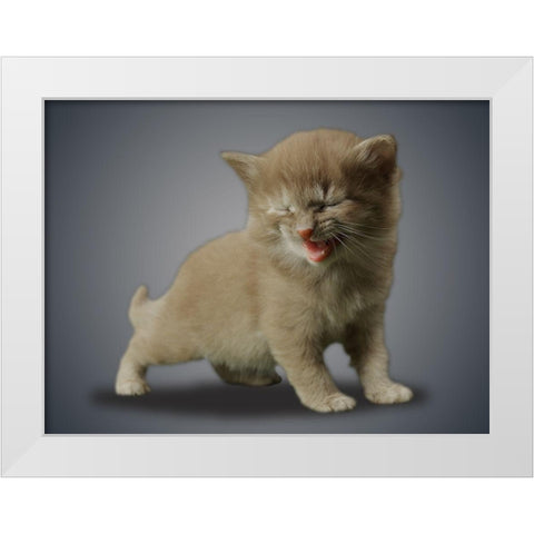 Boundless Cuteness 3 White Modern Wood Framed Art Print by Prime, Marcus