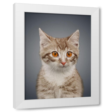 Boundless Cuteness 5 White Modern Wood Framed Art Print by Prime, Marcus