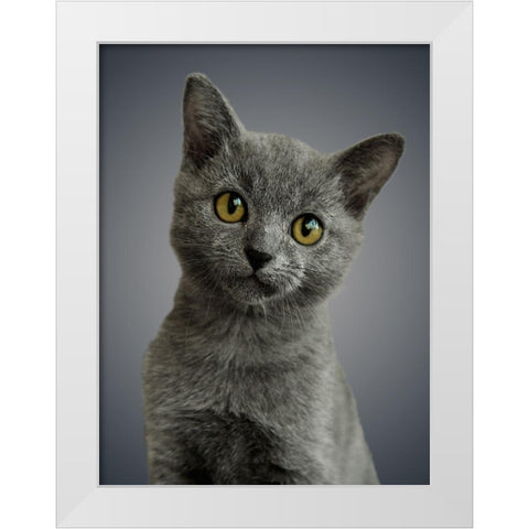 Boundless Cuteness 6 White Modern Wood Framed Art Print by Prime, Marcus
