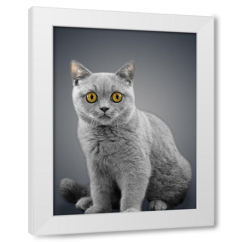 Boundless Cuteness 7 White Modern Wood Framed Art Print by Prime, Marcus