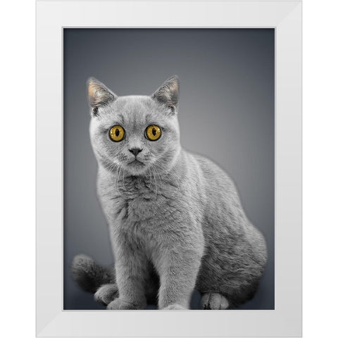 Boundless Cuteness 7 White Modern Wood Framed Art Print by Prime, Marcus