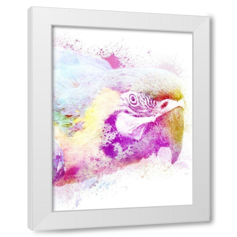 Marvelous Macaw 1 White Modern Wood Framed Art Print by Prime, Marcus