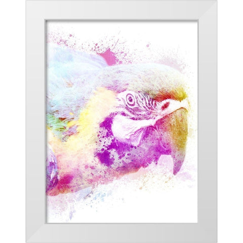 Marvelous Macaw 1 White Modern Wood Framed Art Print by Prime, Marcus