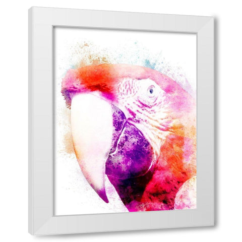 Marvelous Macaw 2 White Modern Wood Framed Art Print by Prime, Marcus